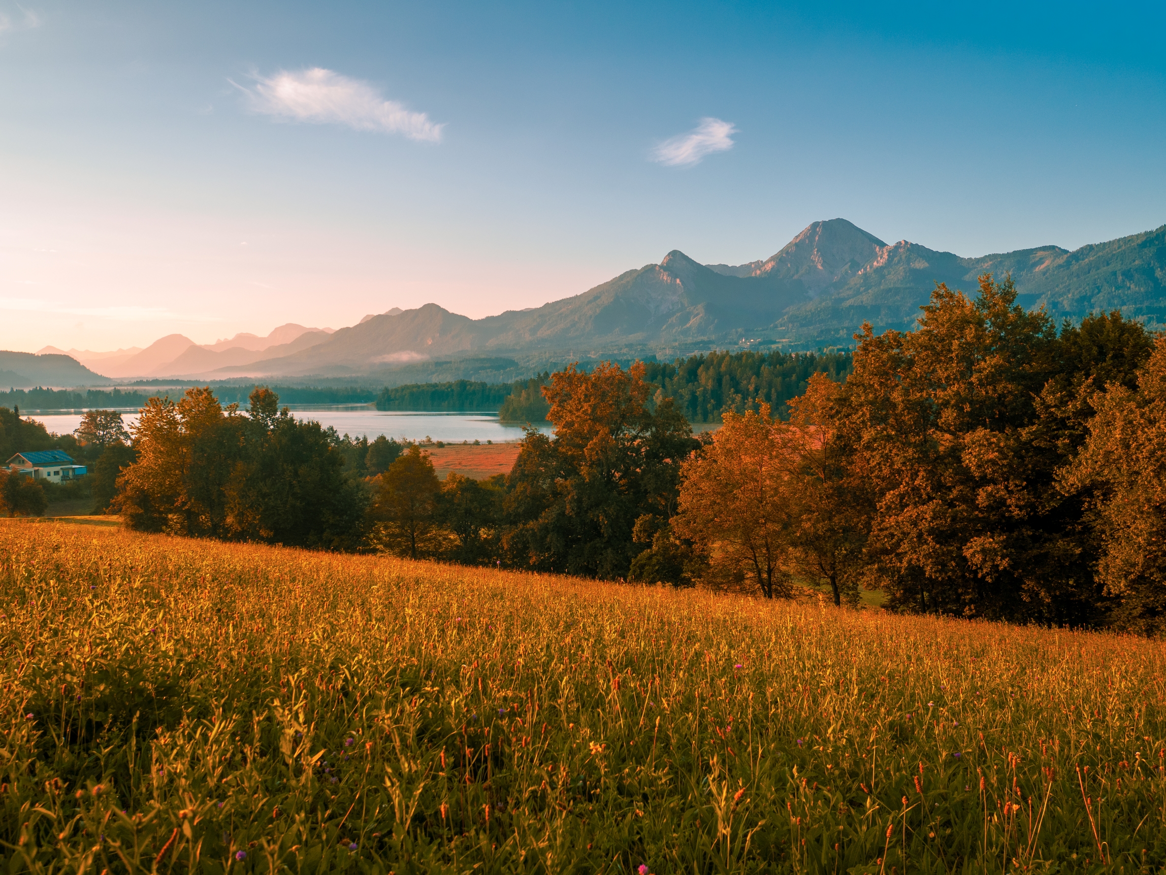 YouTube video preview image